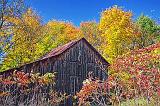 Autumn Barn_17665